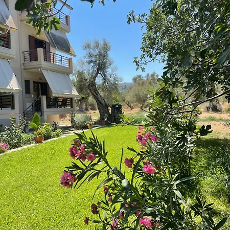 Apartment Asanis 1 Lefkada City